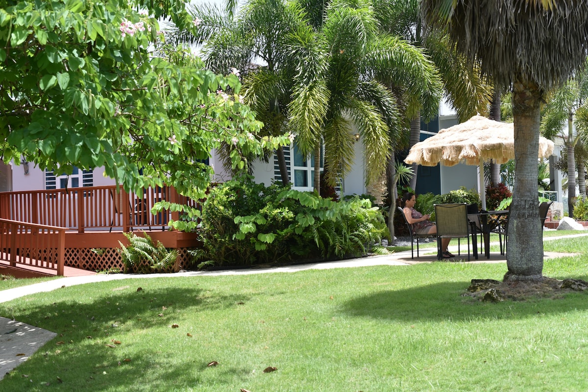 Isabela Mansion for Vacation & Event Sleeps 35