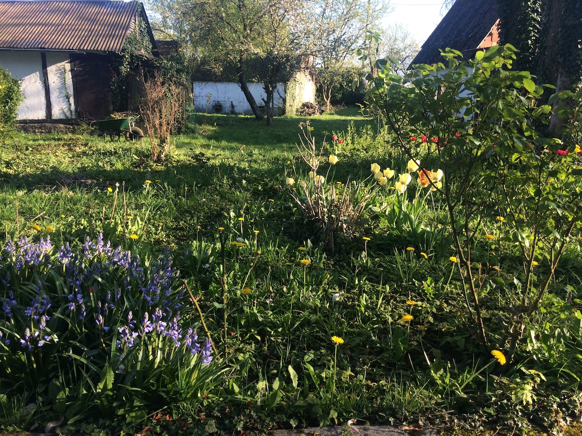 Charmant cottage avec magnifique jardin arboré