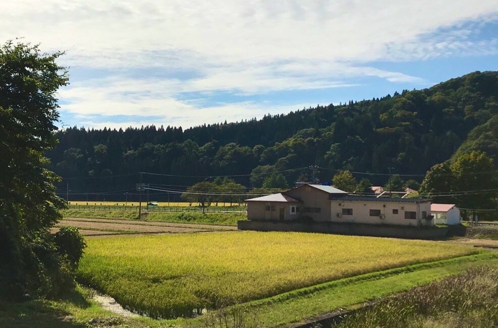 白神山地の旅拠点: 山菜や川魚の絶品料理が人気の民宿だまっこ屋 Shirakami-Sanchi