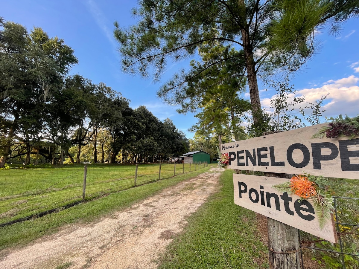 Penelope Pointe- A 3/2 Peaceful Getaway experience