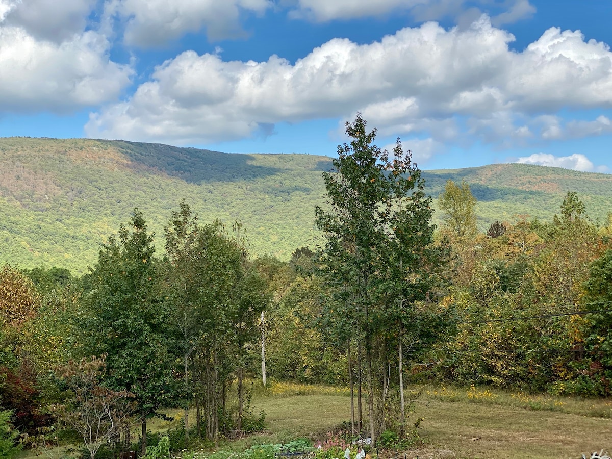 Unique Ouachita Mountain Cottage with Scenic View