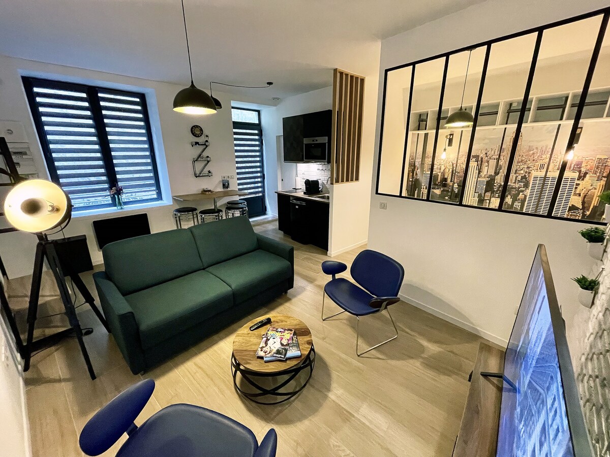 Hypercentre deVienne appartement moderne style NY