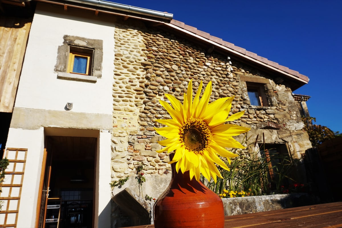 Gîte chaleureux à la campagne