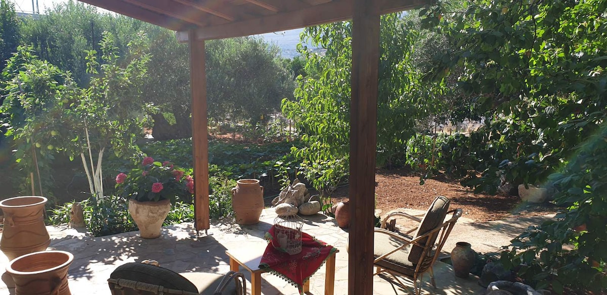 Martha 's Home in Fourni Village Crete