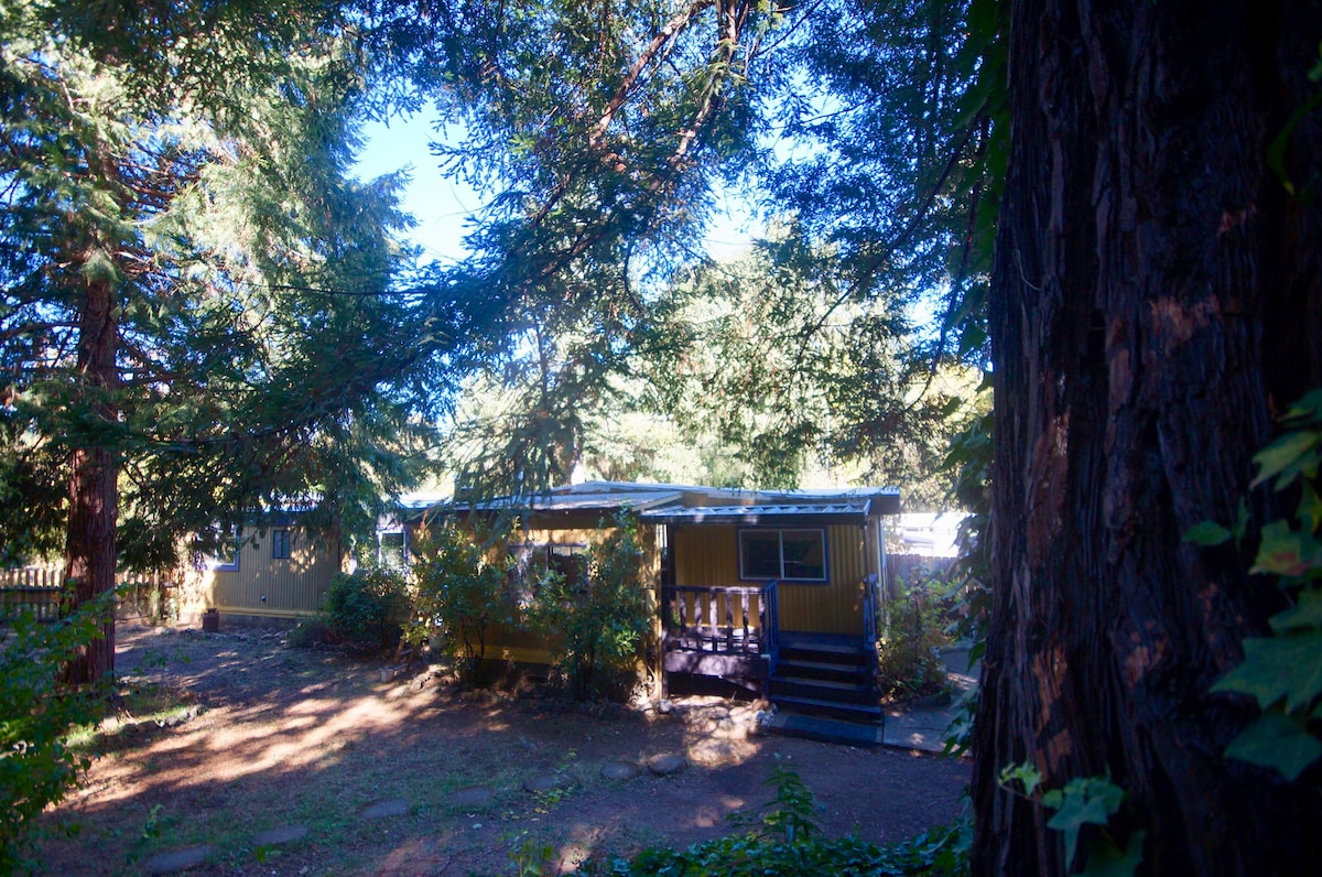 Splash Valley Gardens ~ Serene home among redwoods