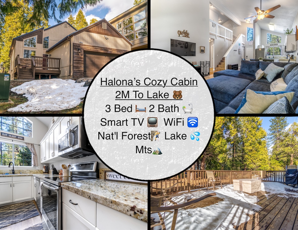 Halona 's Cozy Cabin 2M To Lake 🐻💦 ⛷🌲 🎣 🏂🚣‍♂️🧗‍♀️🚴‍♀️🏔