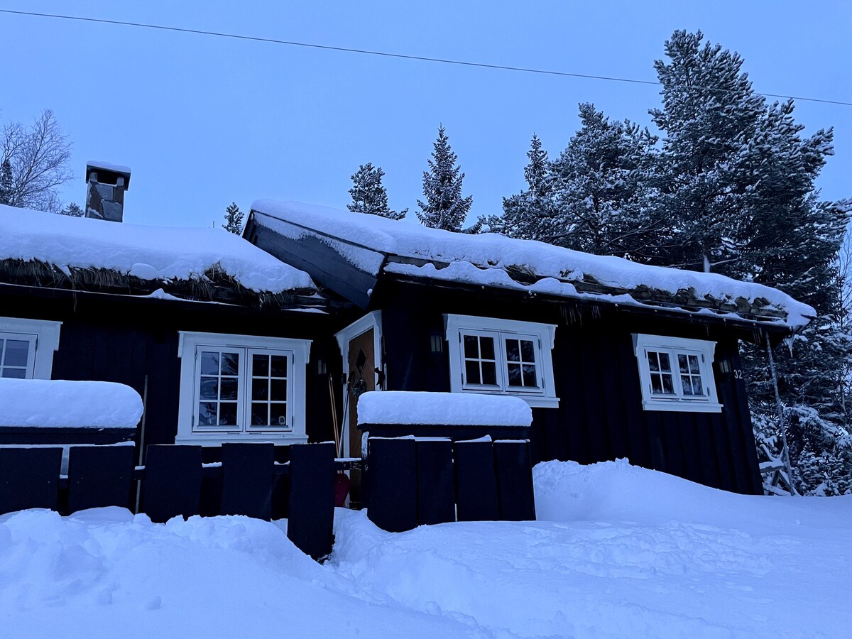 Fagerlia舒适小木屋，滑雪出入