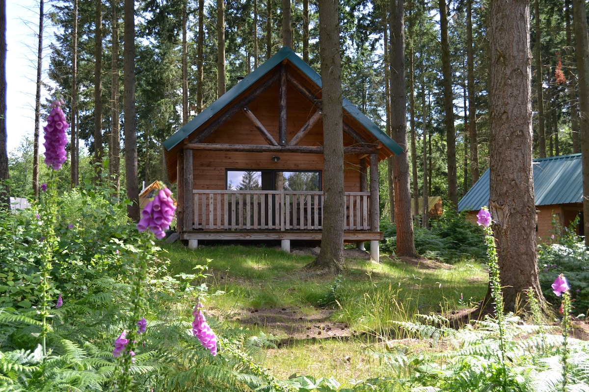 Cabane | Huttopia Senonches