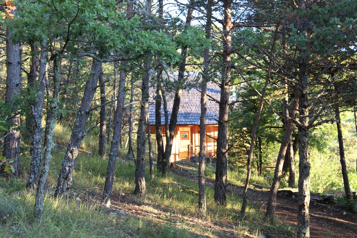 La Cabane du Bois