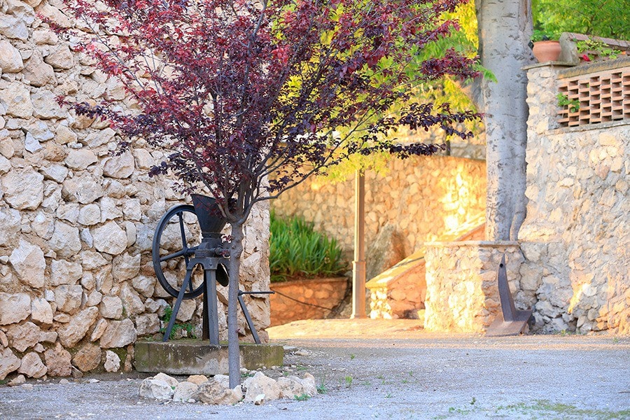 Cortijo el Chorreadero in Sierra de Cazorla