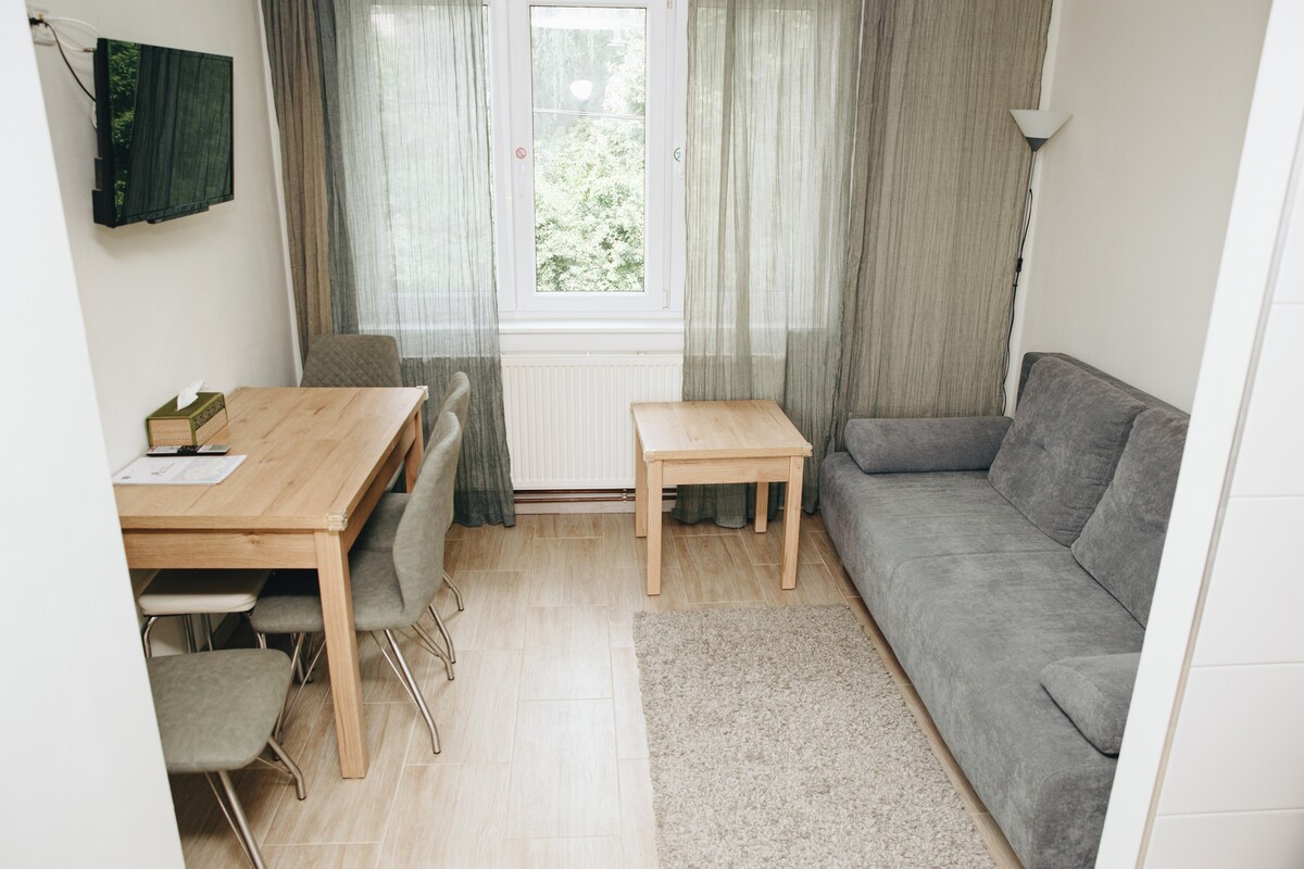 宽敞的两卧室公寓-带露台