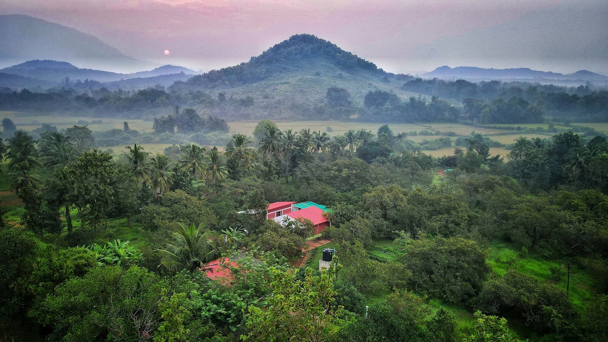 隐藏在大自然中- Kalavady Farmstay