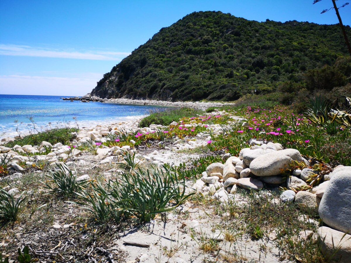 海边的海滩小屋。