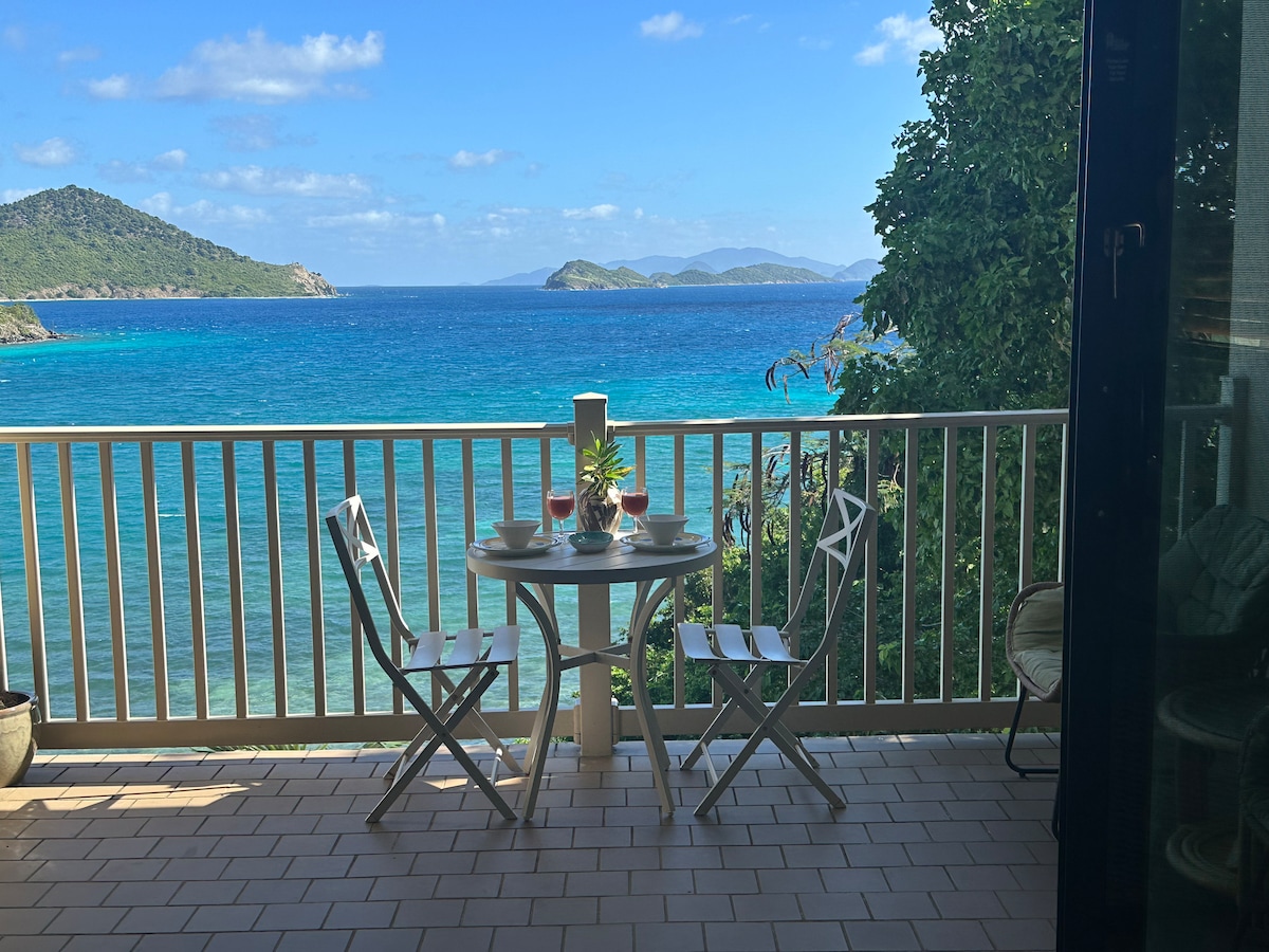 Point Pleasant USVI - Villa Songsaa -海滨