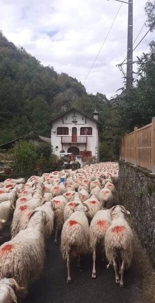 Chambre d’hôtes 2 moulin de Ferrières