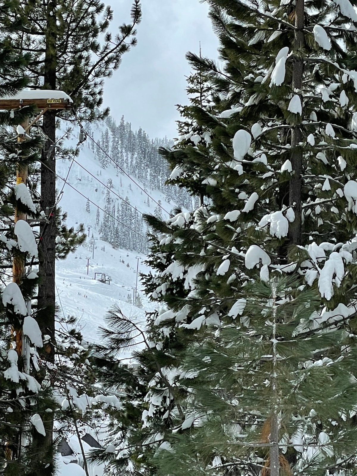 终极滑雪度假木屋，步行即可抵达度假村，适合携带宠物入住