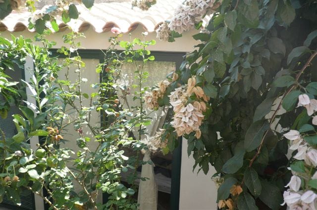 Casa con giardino Villasimius