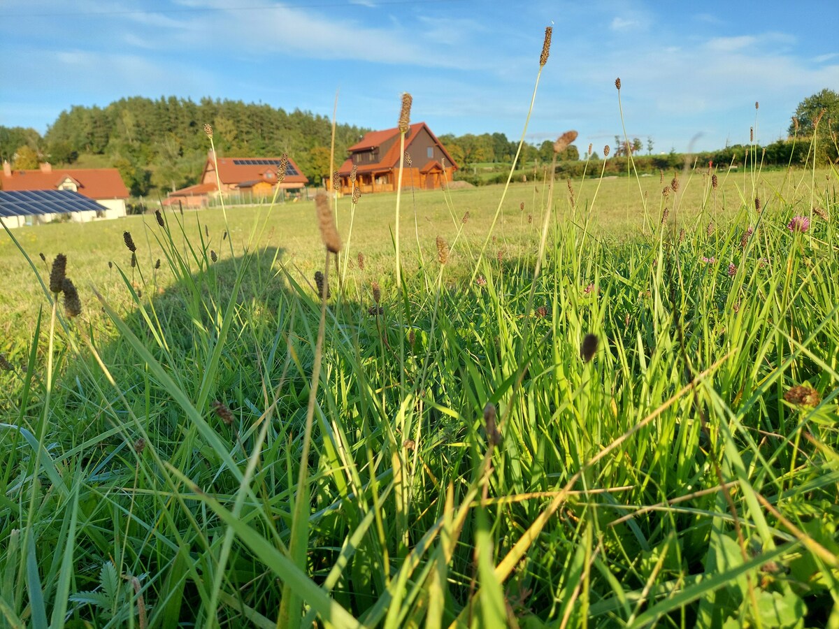 Dom z bali typu bliźniak z kominkiem