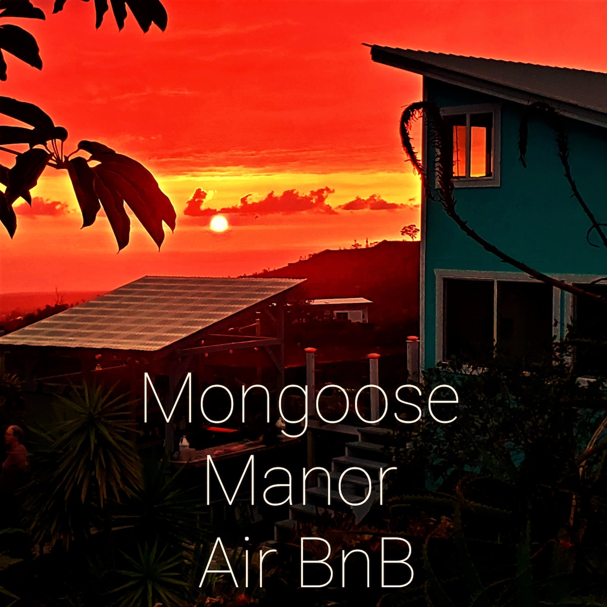 Mongoose庄园-现代客房/令人惊叹的景色