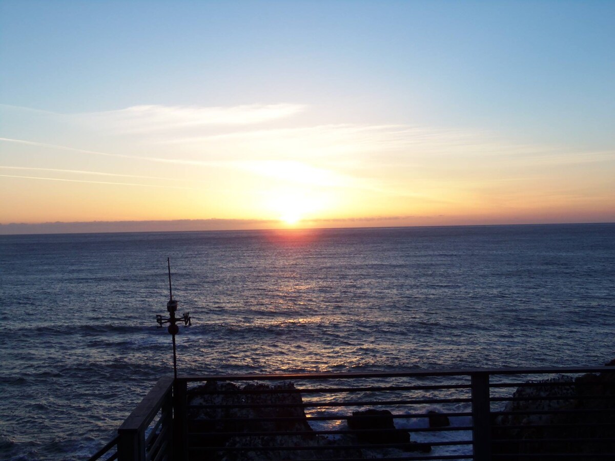 Gray whale ocean view penthouse suite