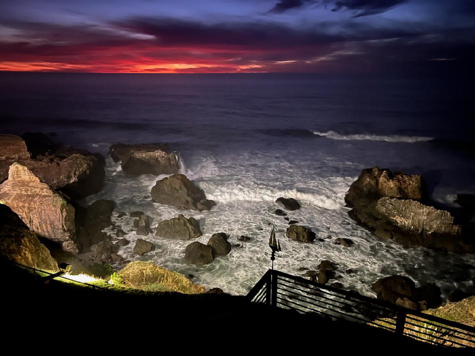 Gray whale ocean view penthouse suite