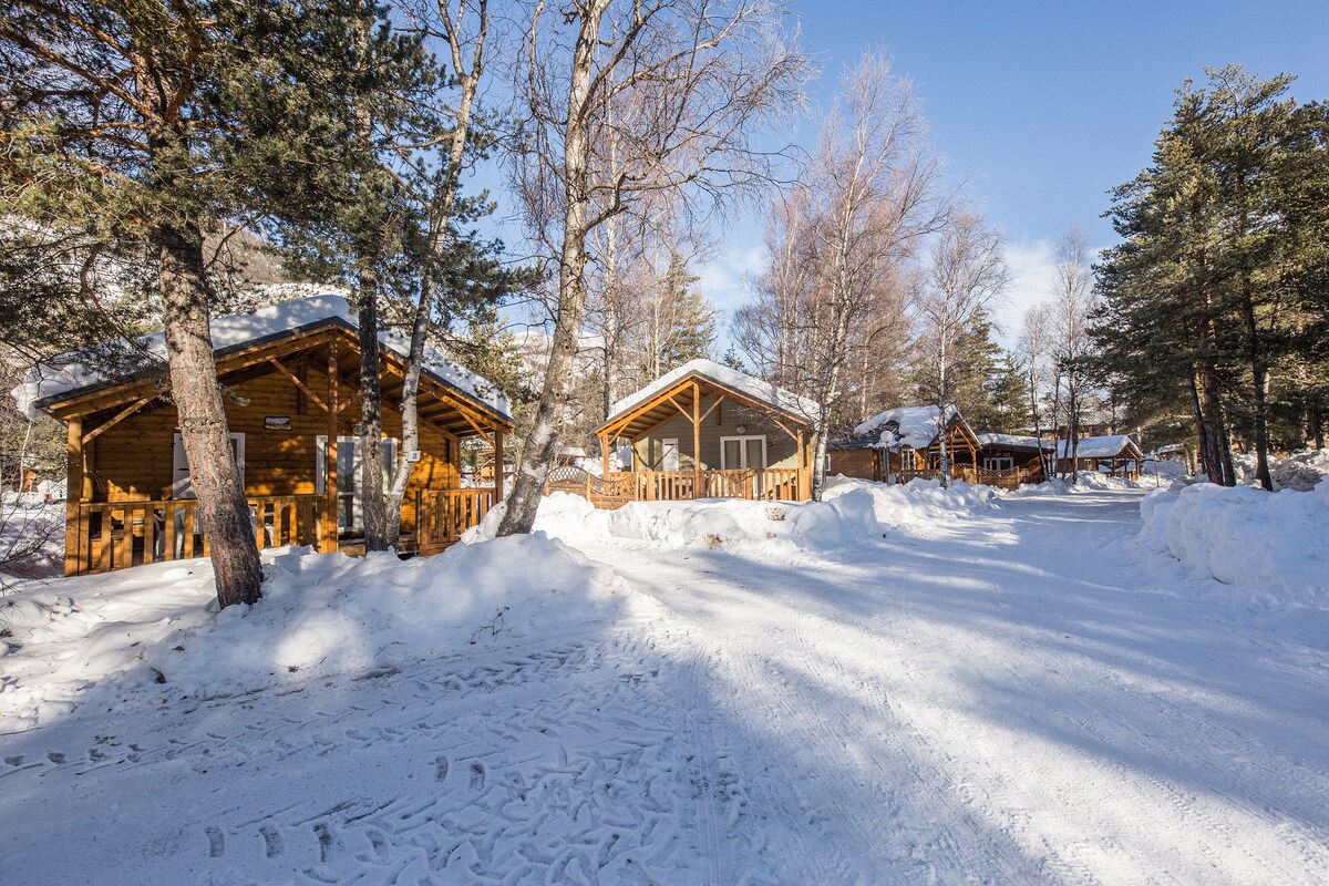 夏季和冬季住宿的度假木屋