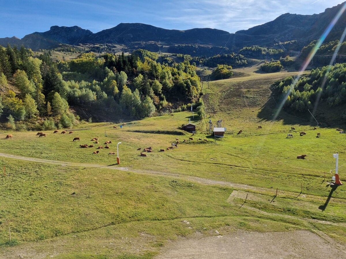 阳光明媚的公寓，您可以欣赏到山坡的美景。