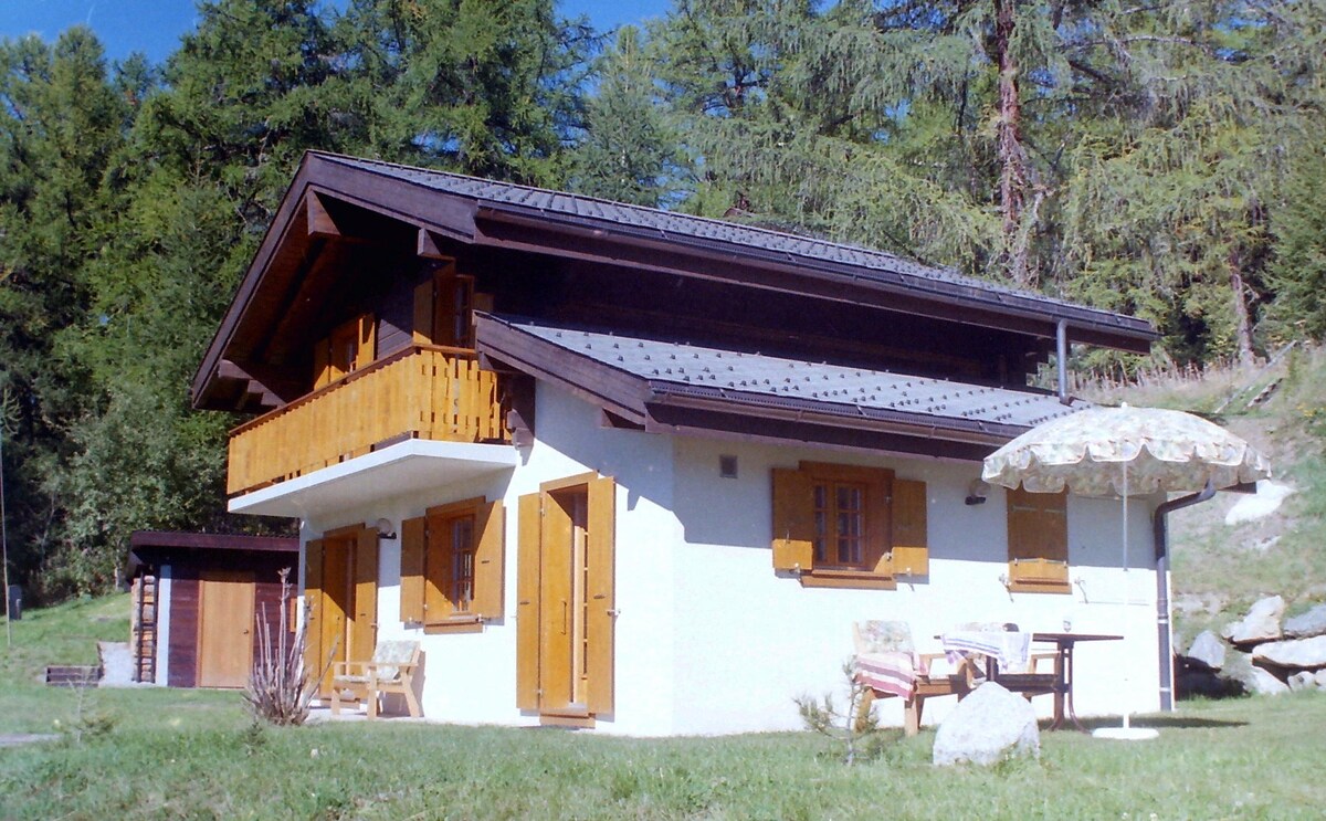 Cosy, sunlit familychalet on the edge of the woods