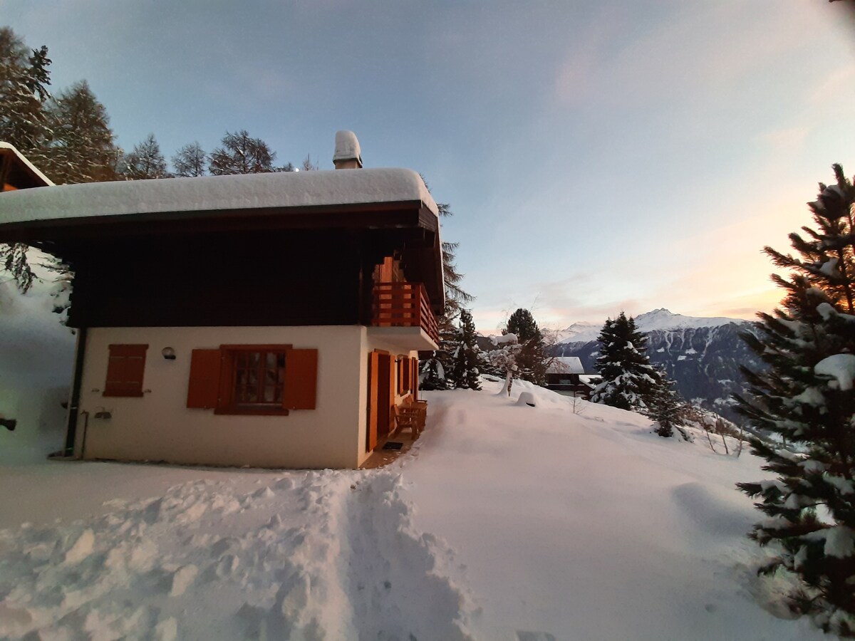 Cosy, sunlit familychalet on the edge of the woods