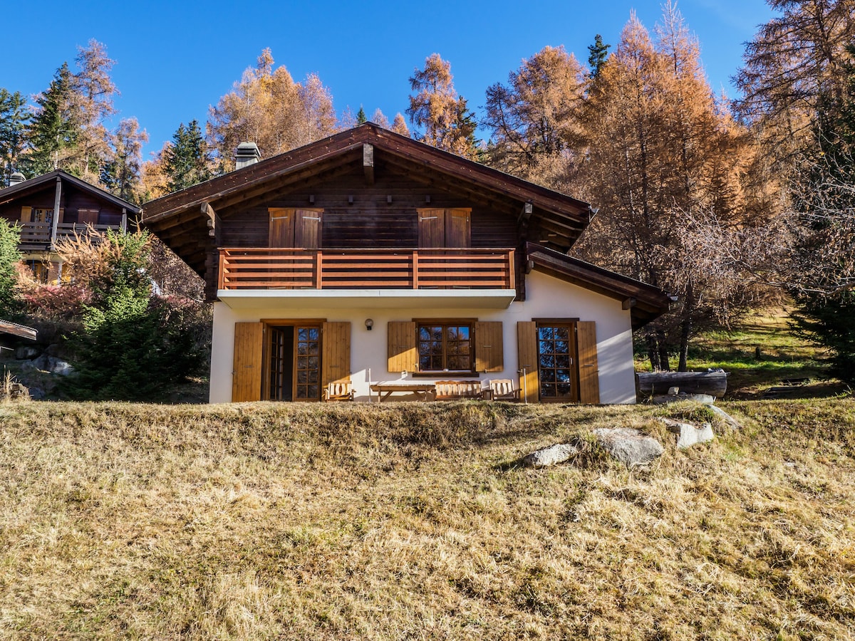 Cosy, sunlit familychalet on the edge of the woods