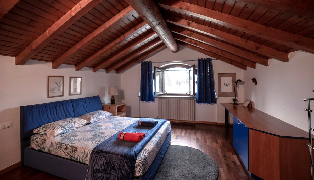 蓝色房间-舒适的农舍，靠近贝加莫