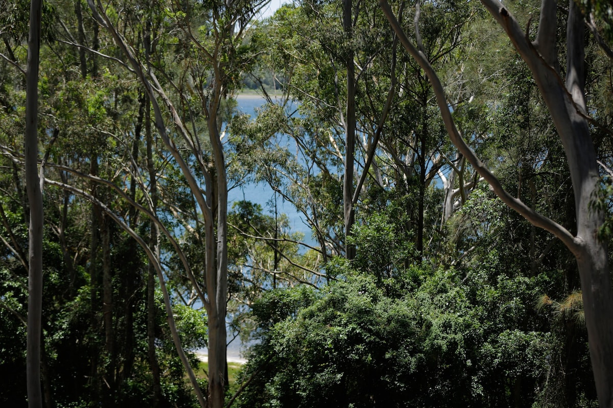 从树顶（ Treetops ）到湖畔（ Lakeside ）仅几秒钟！