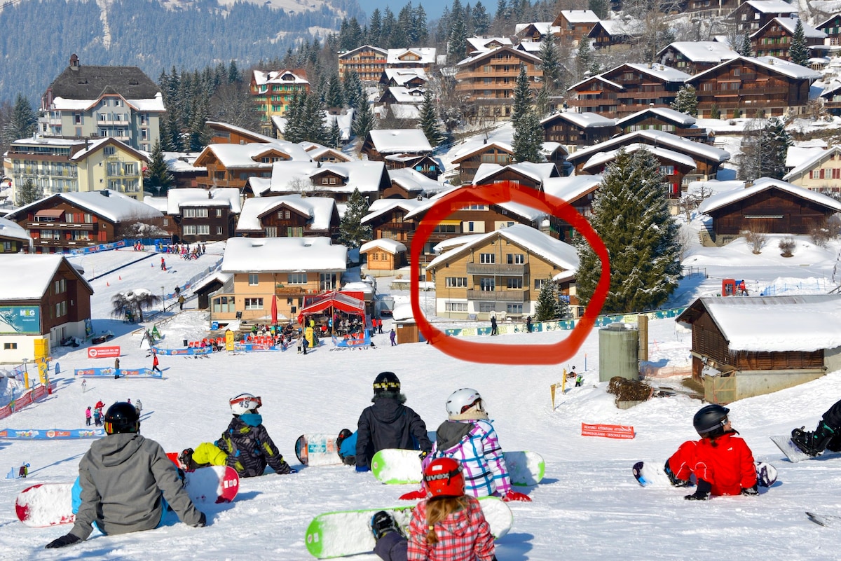 梦幻地， Jungfraublick ，就在滑雪坡上！