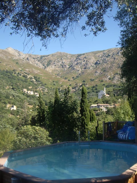 Maison ancienne, grand jardin ombragé d'oliviers