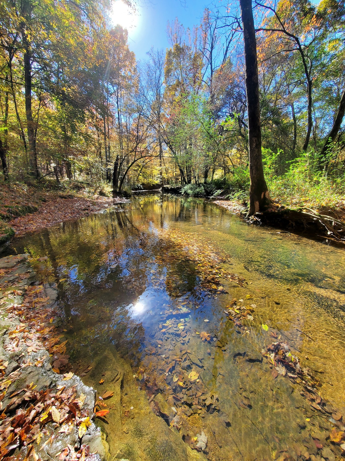 Blowing Springs Cottage