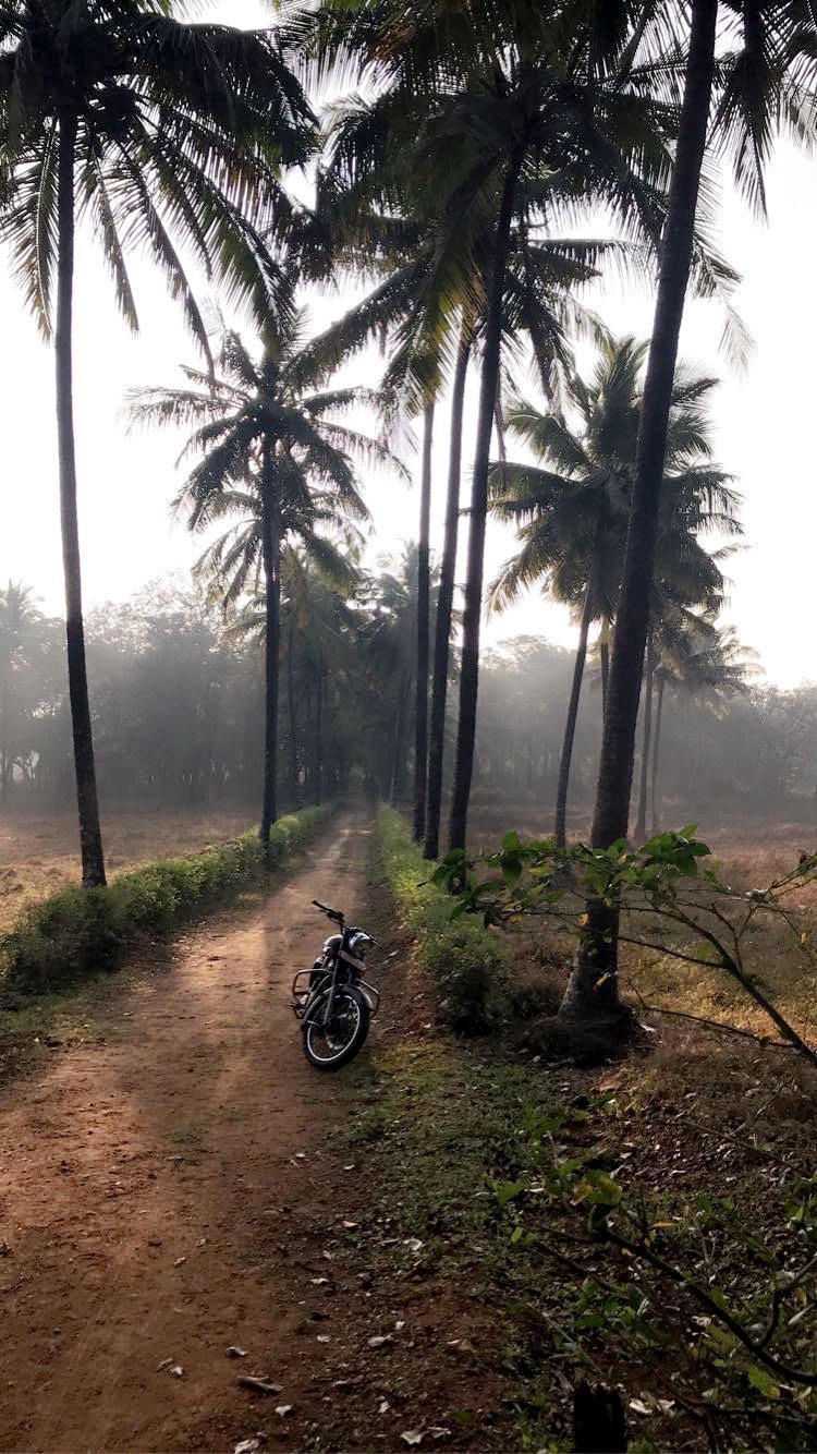 Solitude-A Farmstay by Pandit Farms (near Dandeli)