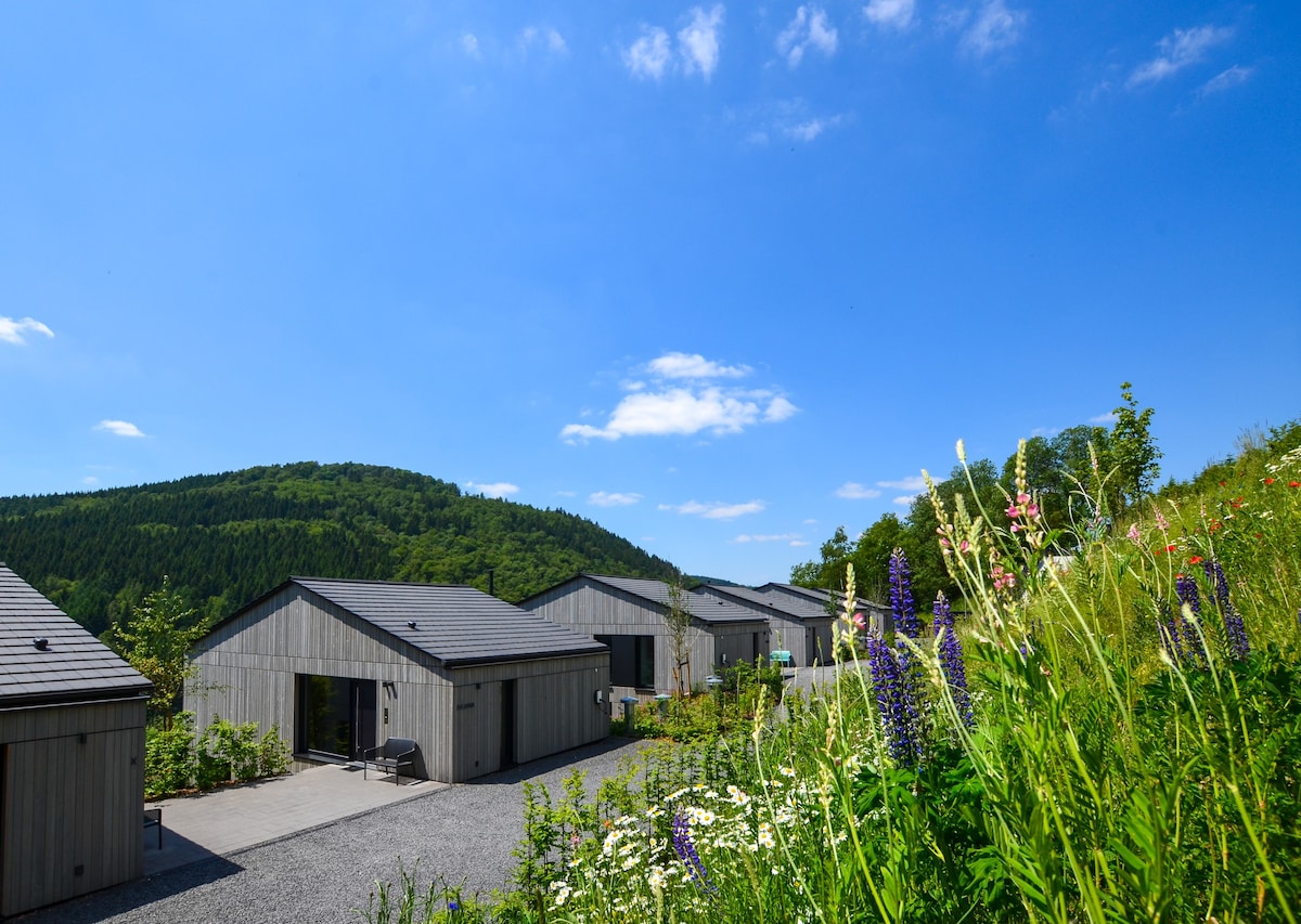 Sauerland Lodge - Haus X