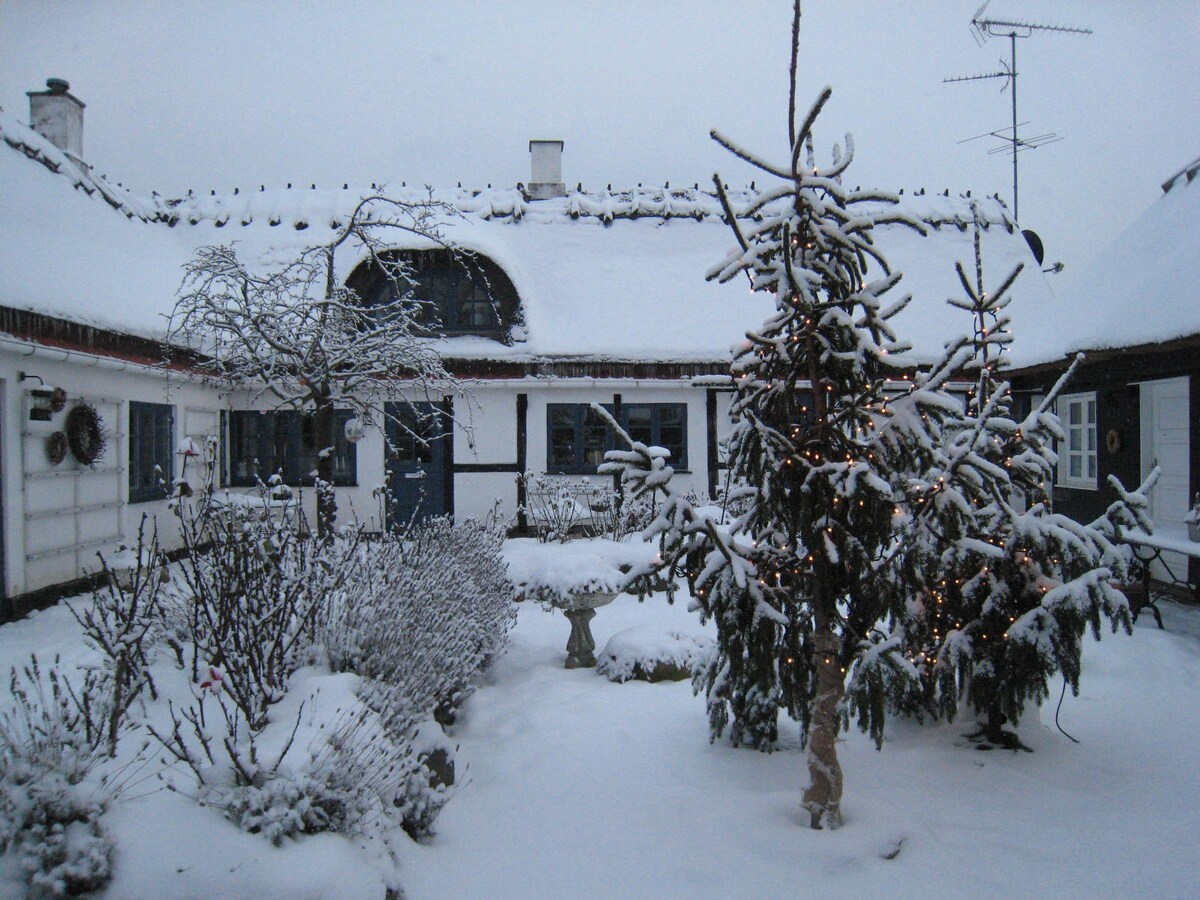 Den Sorte Cottage + Orangeri, vinter, (se sommer)