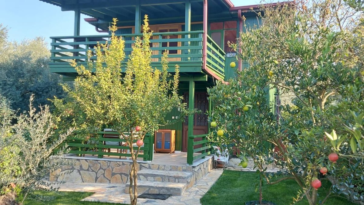 微型住宅村|绿屋|橄榄树林中