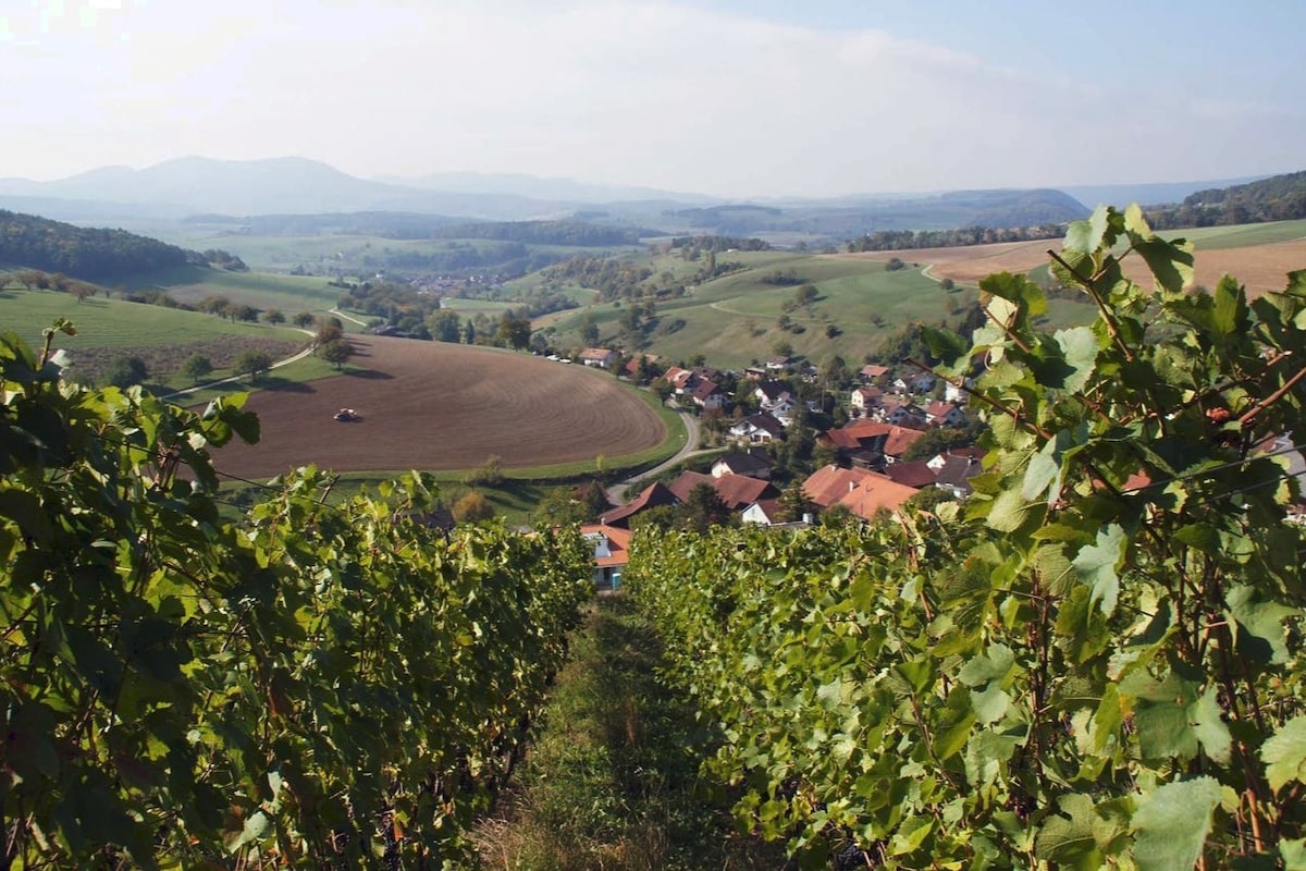 2-Zimmer-Studio in der «Kleinen Toscana»  Elfingen