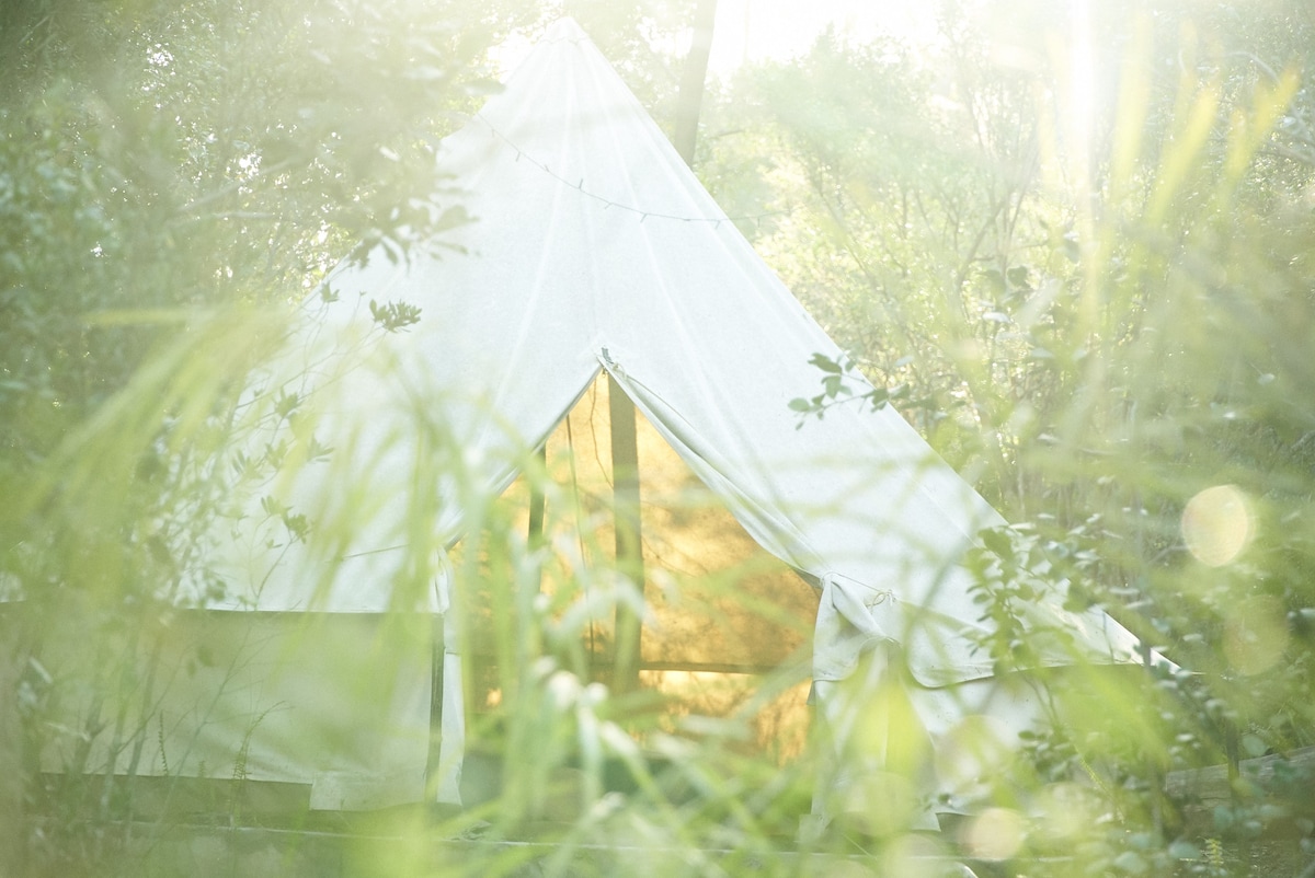 温馨宽敞的钟形帐篷@ WonderWoods Forest