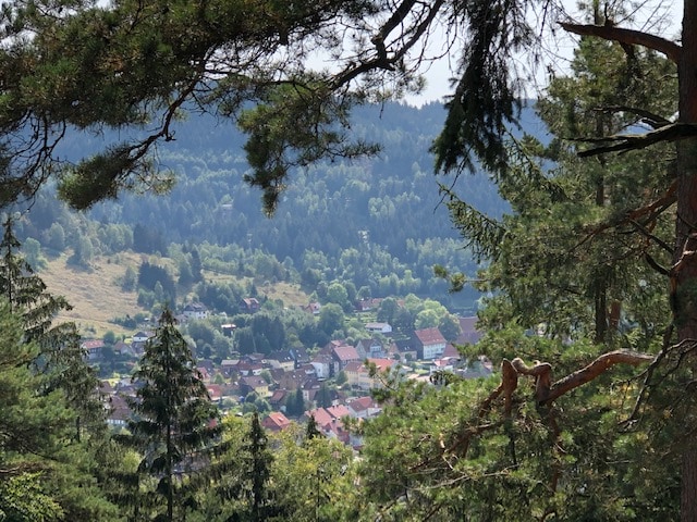 Harmonia im schönen Bergdorf Lautenthal