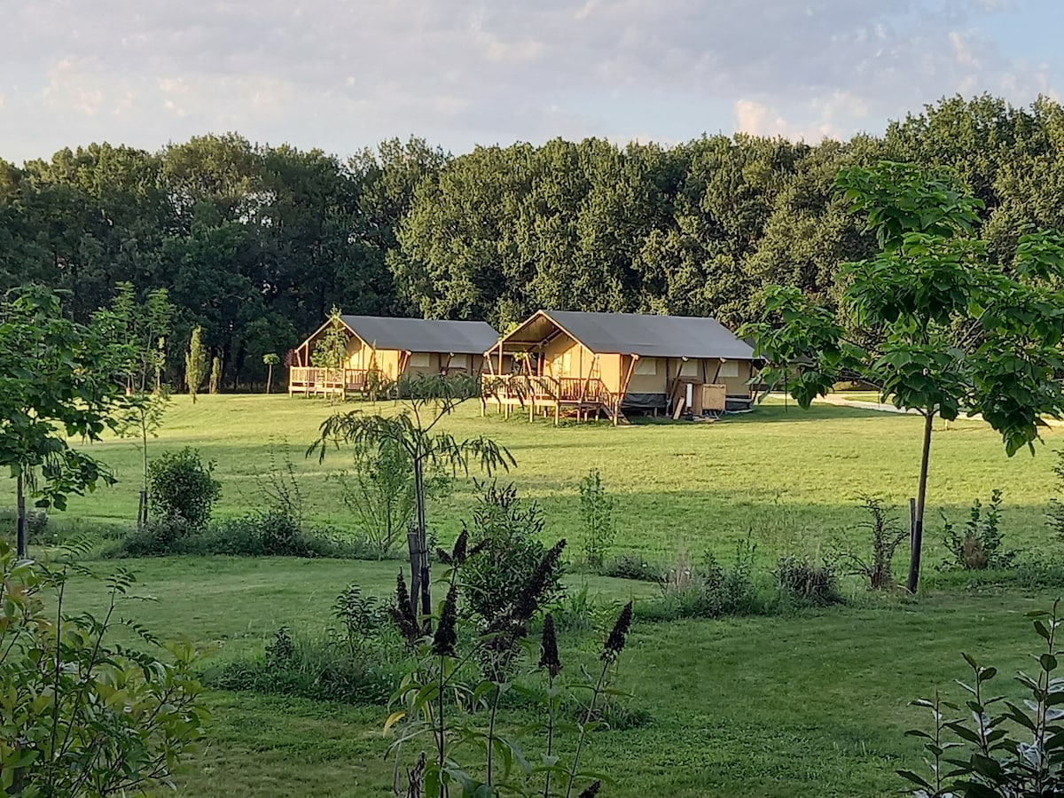 Safari Tent Glamping small site heated pool !