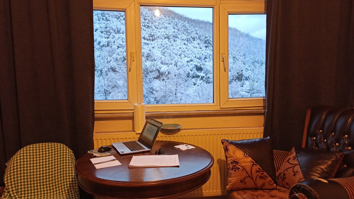 森林景观-舒适宽敞的房间@ Ayazağa