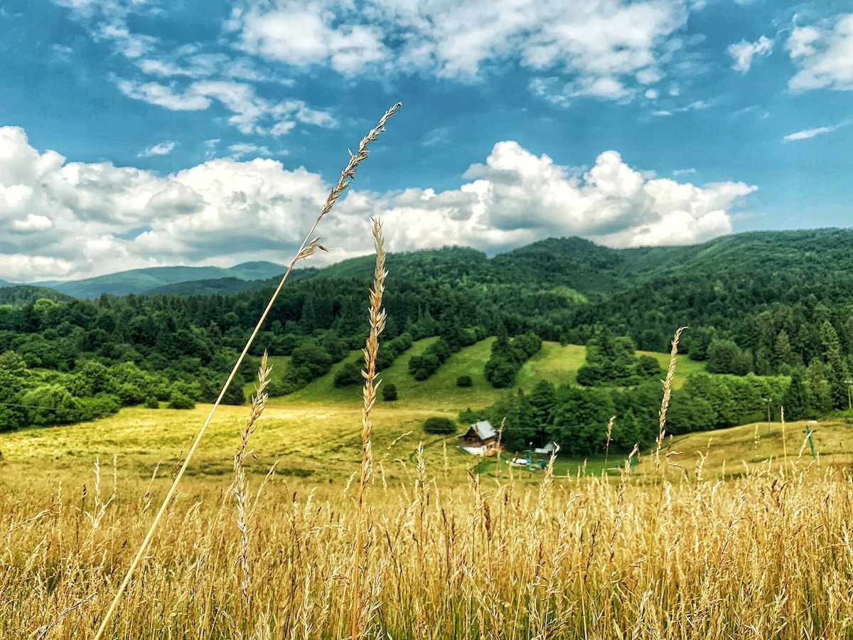 Low Tatras的山间小屋Kamila