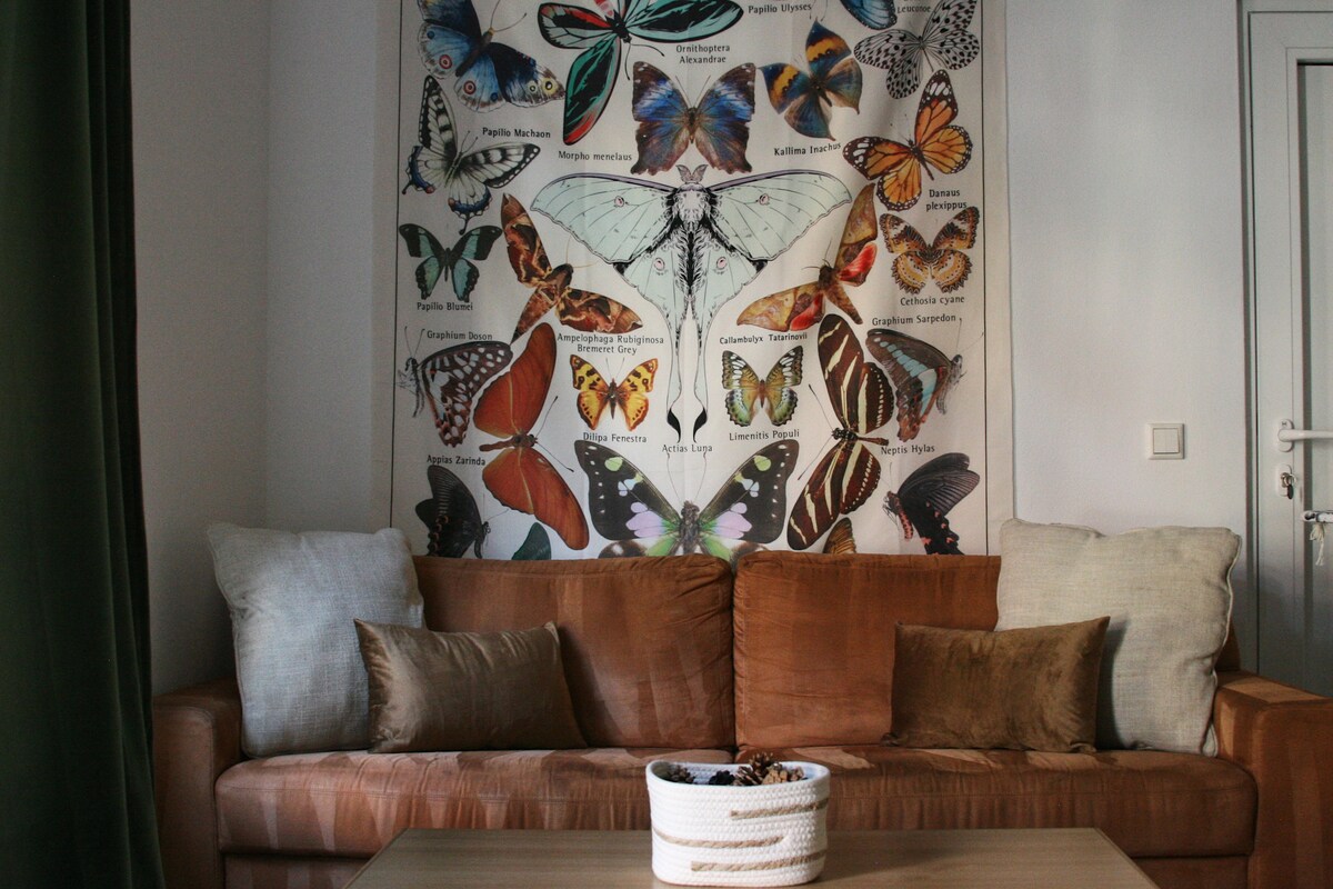 ButterflyStudio -私人公寓Cozy Hahnbach
