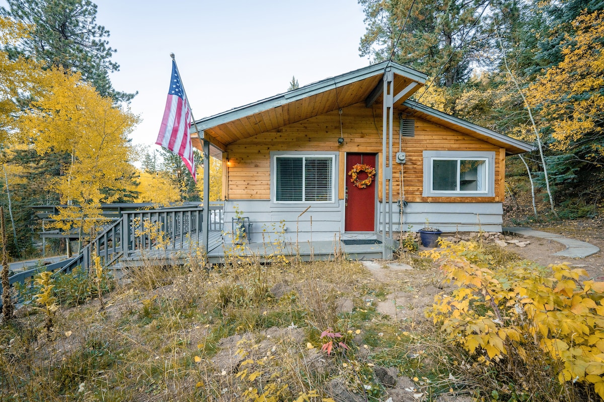 Cozy Colorado Rocky Mountain Cabin