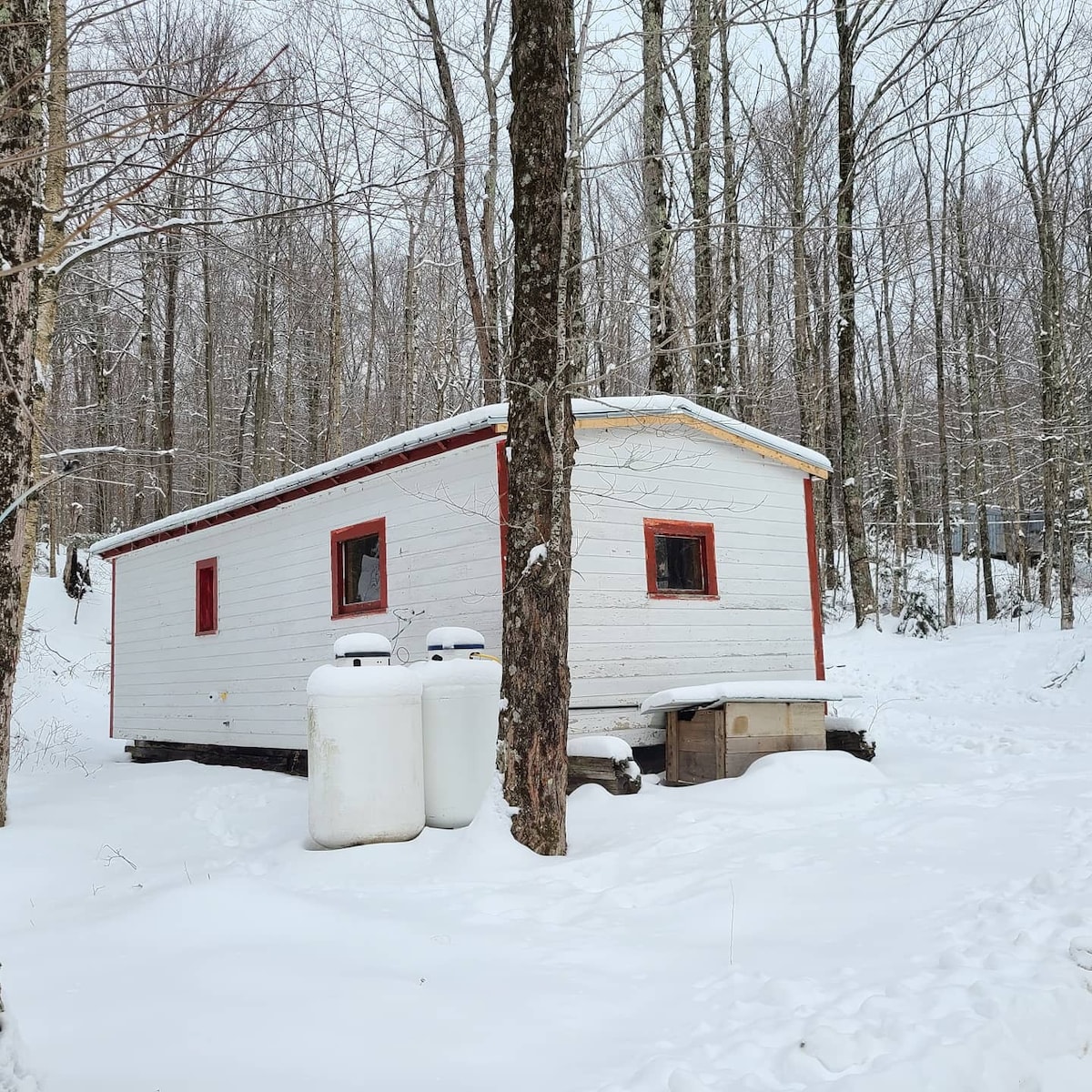 伍兹曼小屋