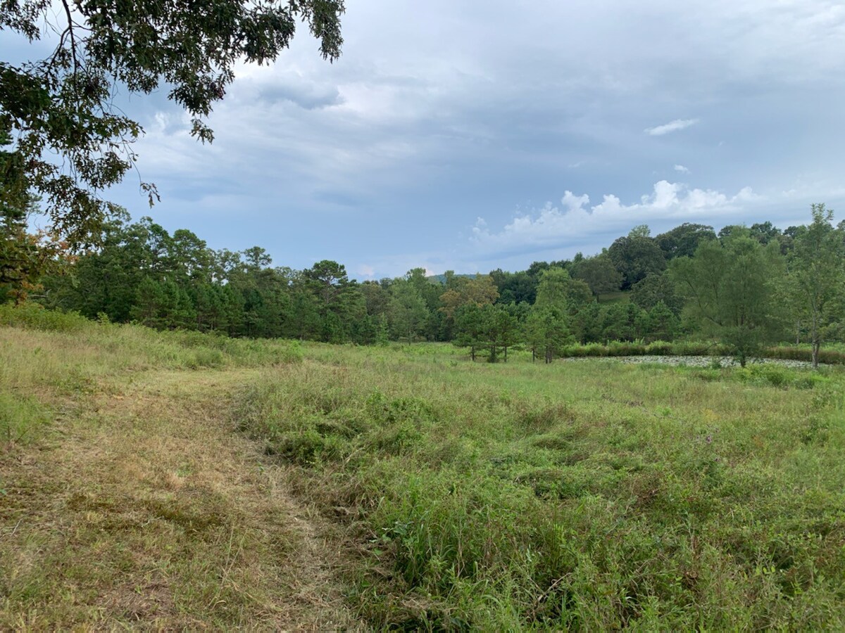 Primitive site #3 Edendell RVs & Camping, Oden, AR