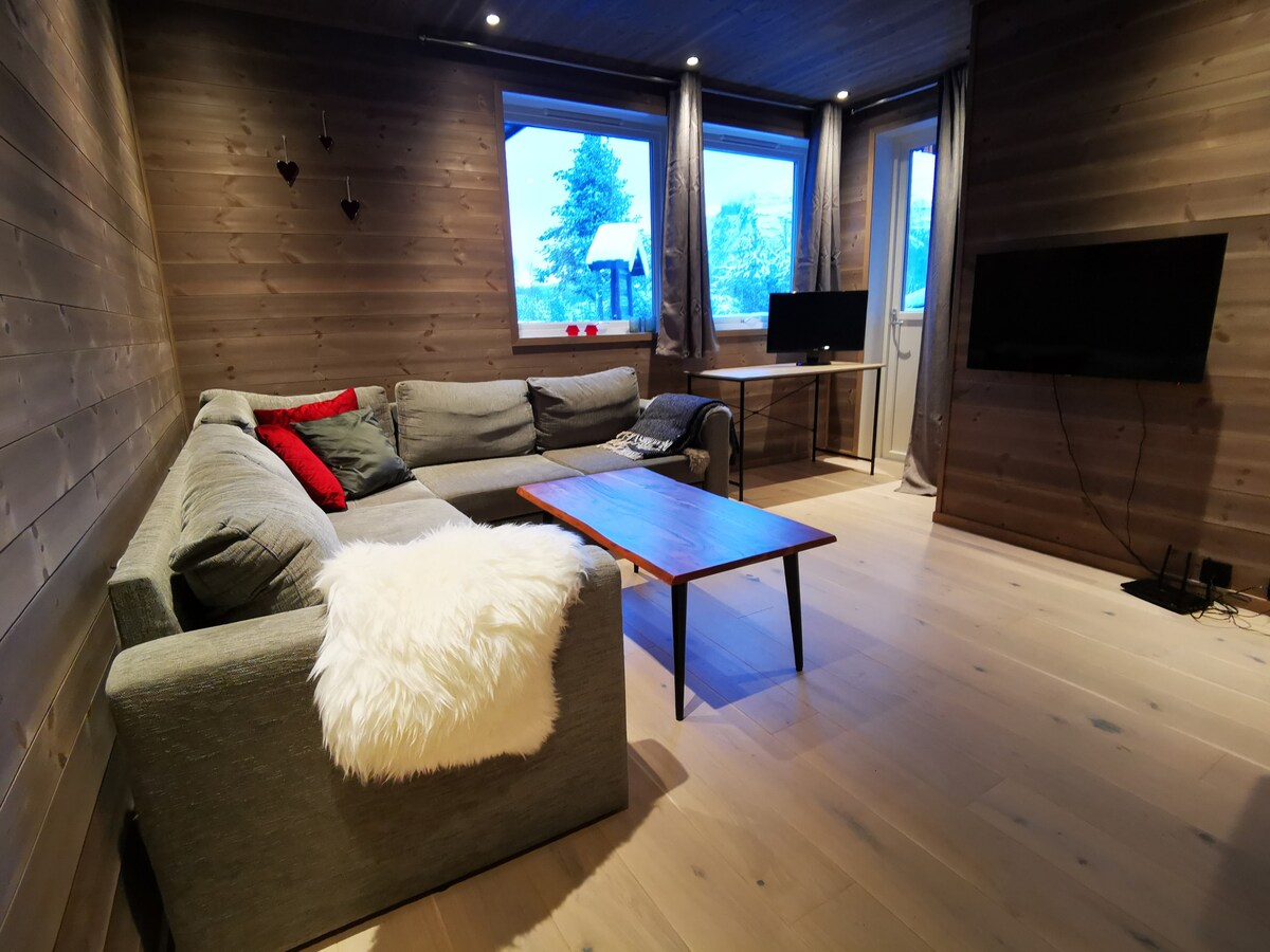 新装修的2卧室公寓，位于Hemsedal